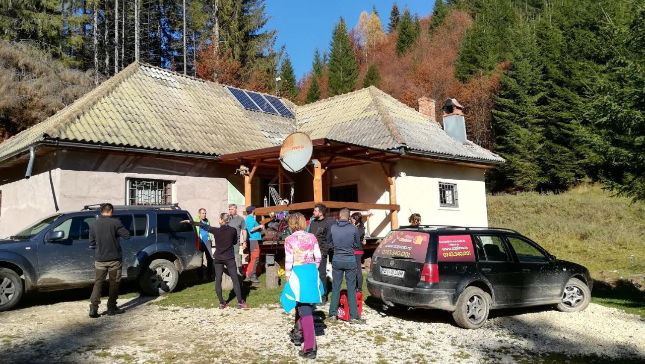 Cabana Pietricica Dâmbovicioara Exterior photo