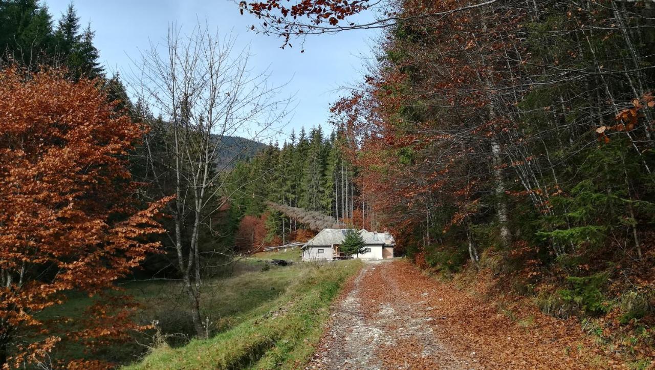 Cabana Pietricica Dâmbovicioara Exterior photo