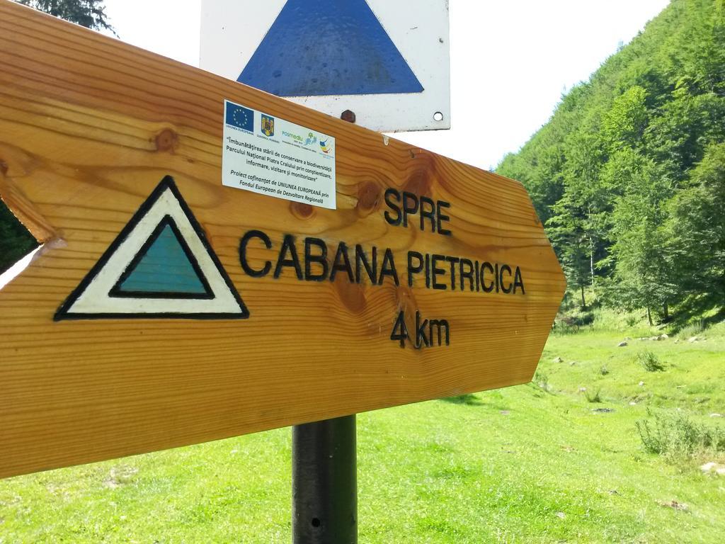 Cabana Pietricica Dâmbovicioara Exterior photo