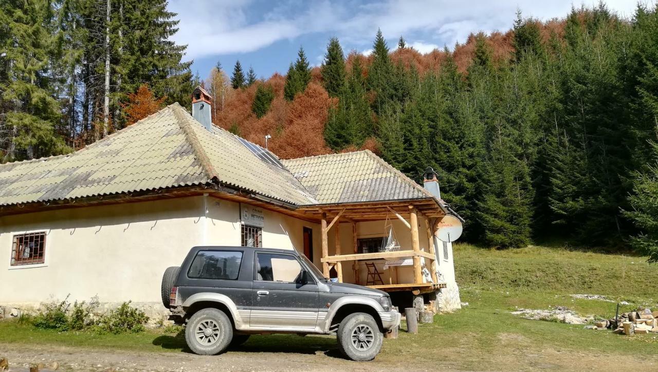 Cabana Pietricica Dâmbovicioara Exterior photo