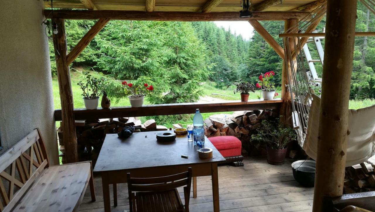 Cabana Pietricica Dâmbovicioara Exterior photo