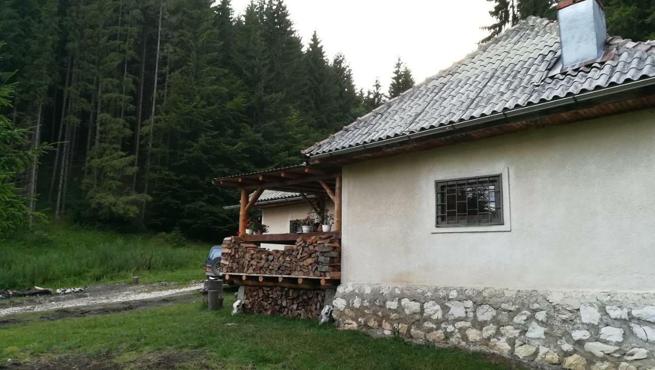 Cabana Pietricica Dâmbovicioara Exterior photo