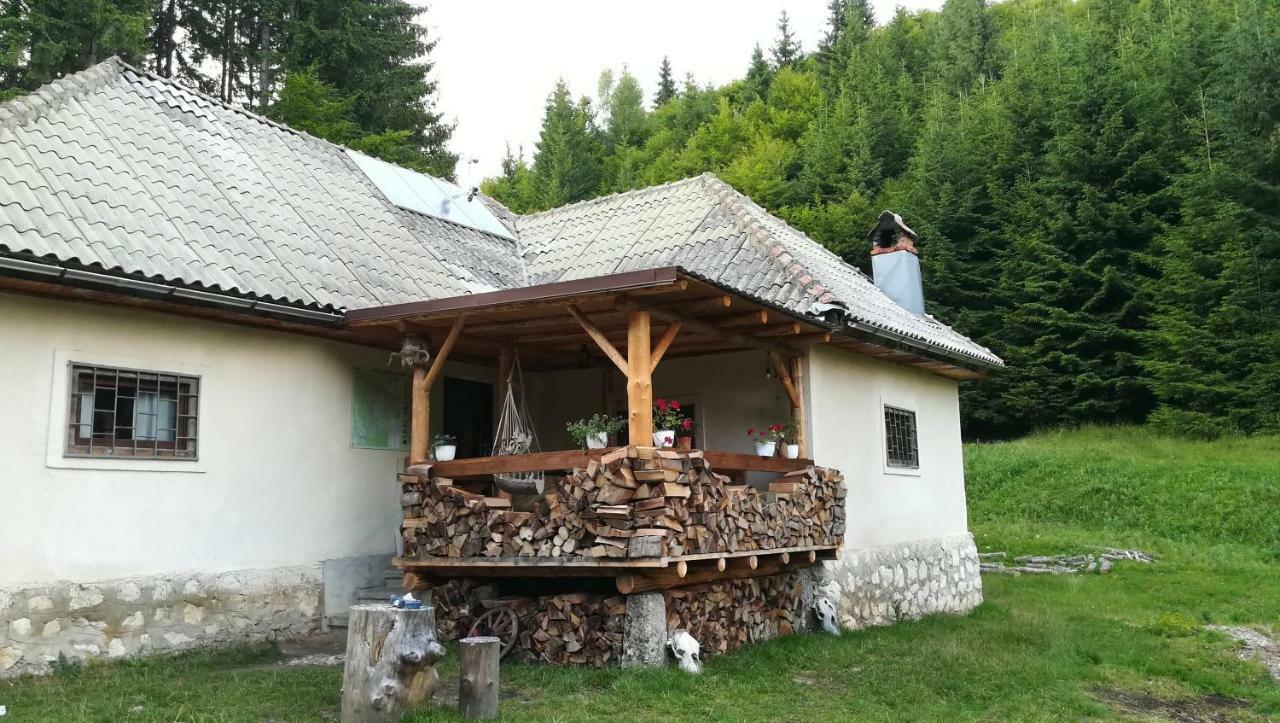 Cabana Pietricica Dâmbovicioara Exterior photo