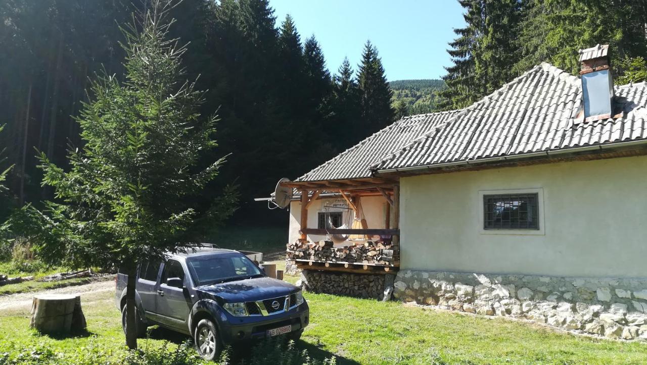 Cabana Pietricica Dâmbovicioara Exterior photo